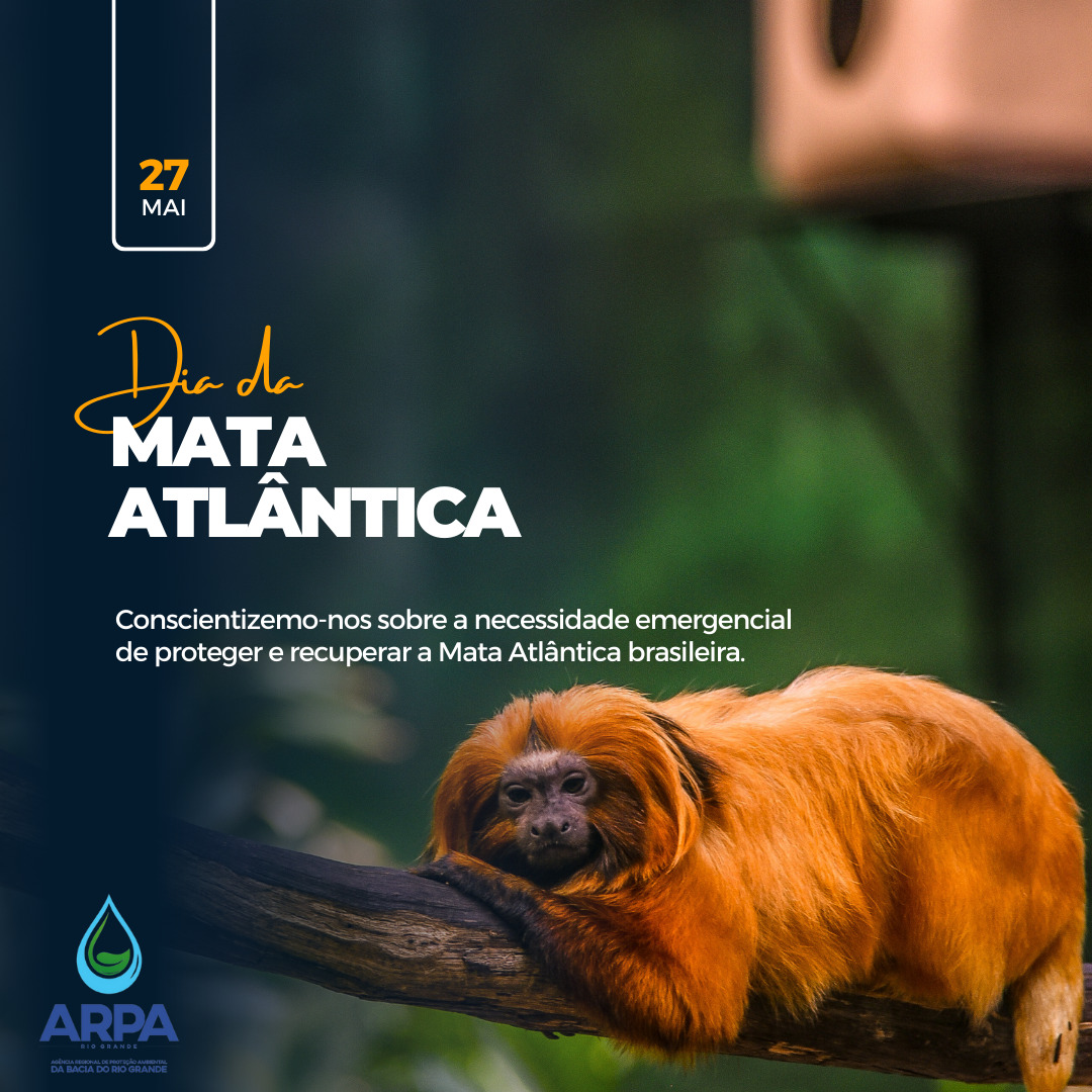 Dia Nacional Da Mata Atlântica - ARPA Rio Grande