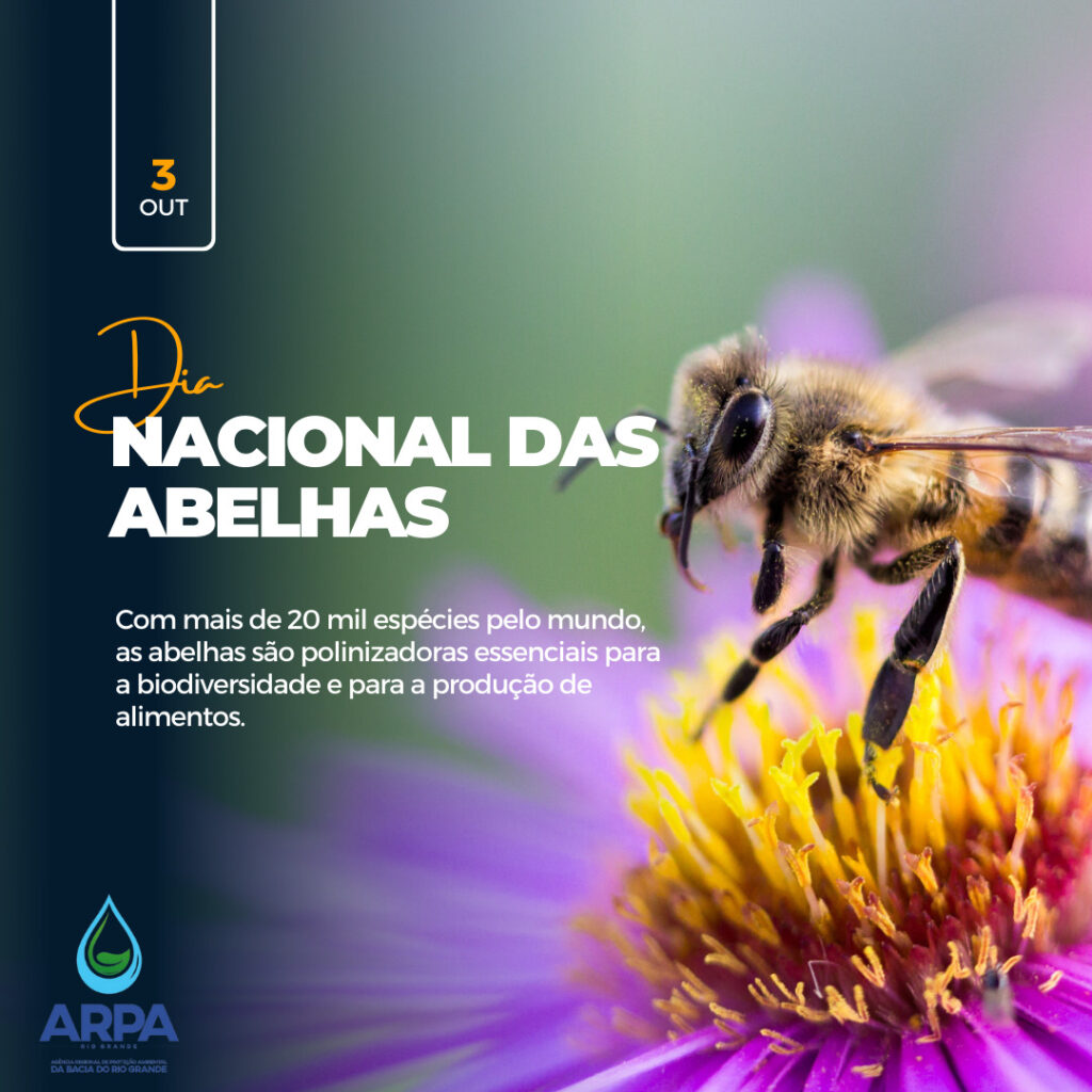 Dia Nacional das Abelhas - ARPA Rio Grande